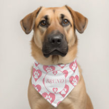 Paw Chien Coeur Rose Nom