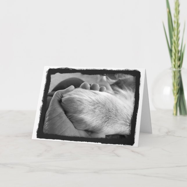 Paw dans la carte main (Devant)