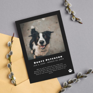 Pawprint blanc Pet Perte Faire-part photo