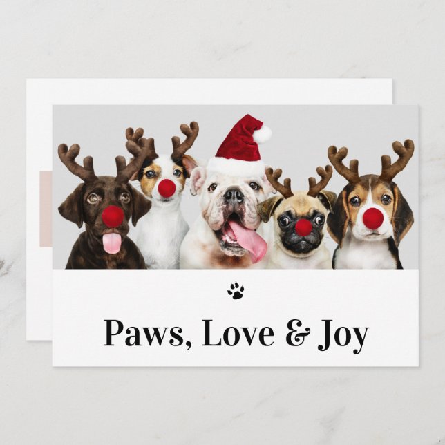Paws Amour et Joy Chien Noël 5 Carte photo (Devant / Derrière)