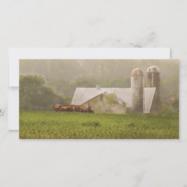 Pays - Agriculture Amish (Devant)