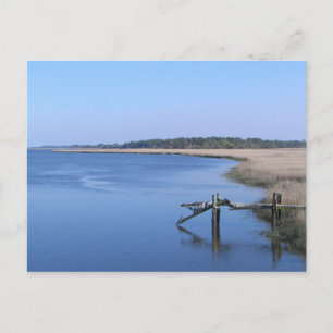 Pays Bas, SC - Carte postale