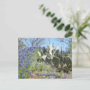 Pays de carte postale Texas Bluebonnets et cactus