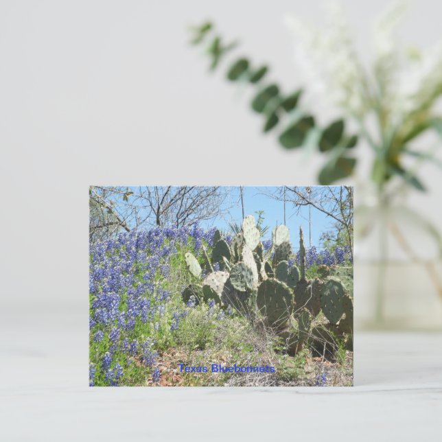 Pays de carte postale Texas Bluebonnets et cactus (Debout devant)