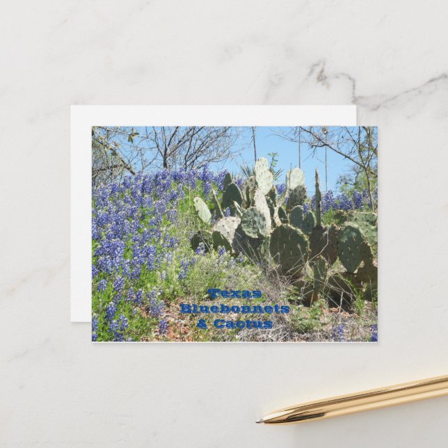 Pays de carte postale Texas Bluebonnets et Cactus (Devant/Arrière en situation)