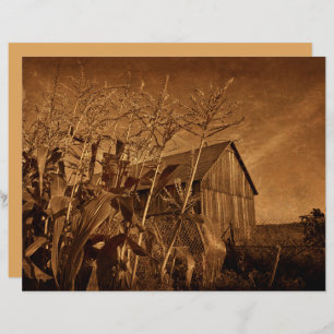 Pays Grange rustique Vintage ferme Brown Texture