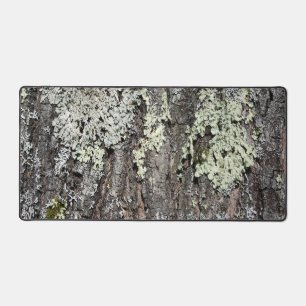 Pays Rustique Nature Mossy Bark Oak Tree Photo