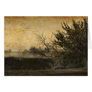Pays Terrain paysage Arbres d'hiver rustiques