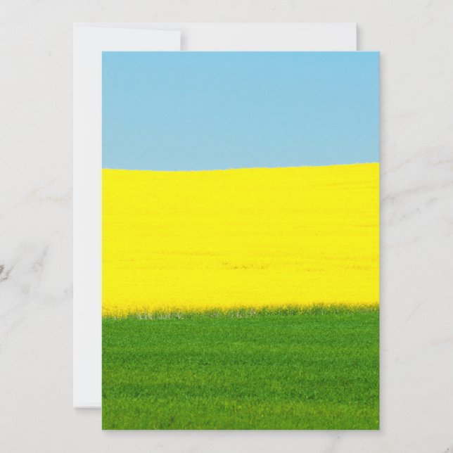 Paysage (Devant)