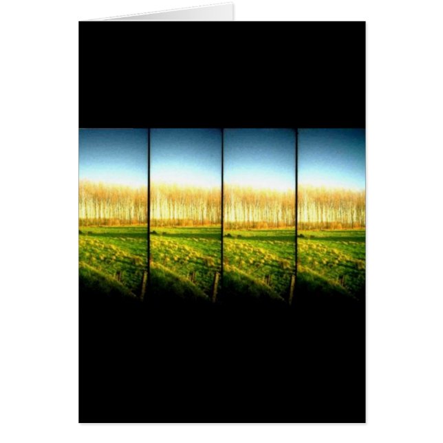 paysage 2 de lomo (Devant)