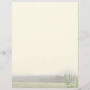 Paysage agricole avec plantes de maïs vierge