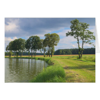 Paysage arboré