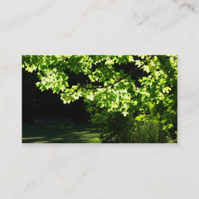 Paysage / Carte de visite de l'arbre d'entretien d (Devant)