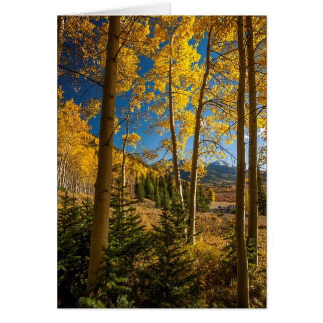 Paysage dans les montagnes de San Juan (Devant)
