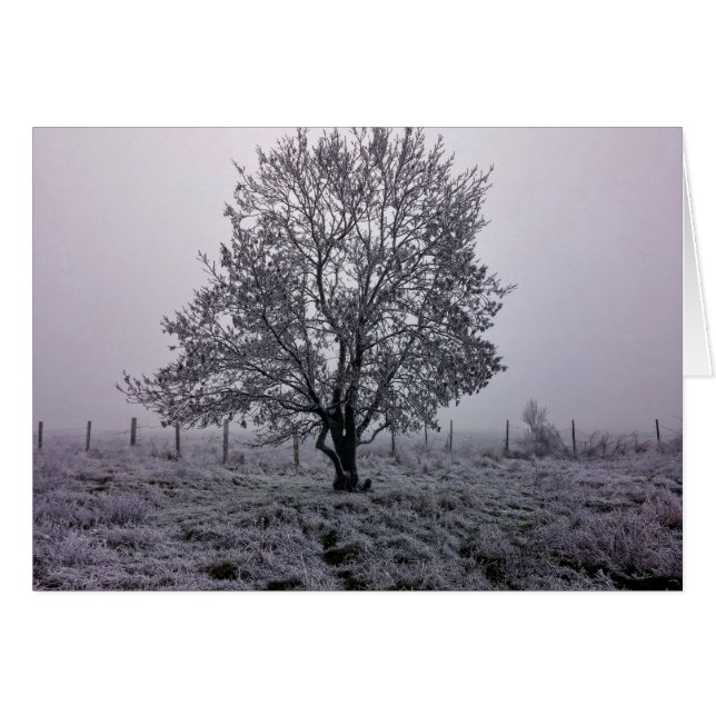 Paysage d'arbre d'hiver (Devant horizontal)
