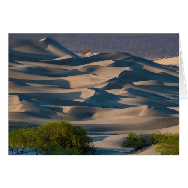 Paysage de dunes de sable, Californie (Devant horizontal)