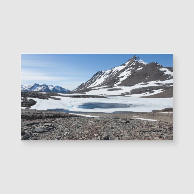 Paysage de Géorgie du Sud (Devant)