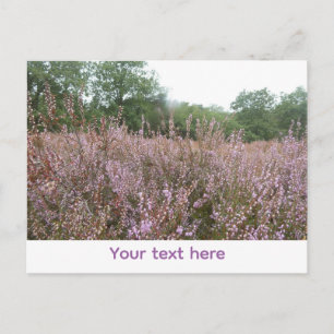 Paysage de lande DIY Carte postale