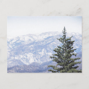 Paysage de montagne avec pin Carte postale