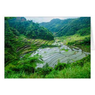 Paysage de rizières, Philippines