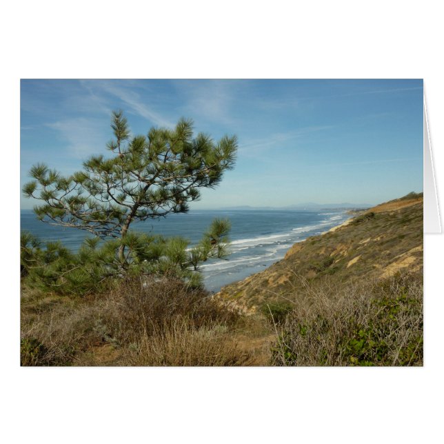 Paysage de Torrey Pine et de la côte californienne (Devant horizontal)