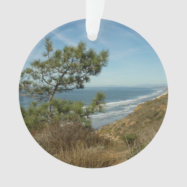 Paysage de Torrey Pine et de la côte californienne (devant)