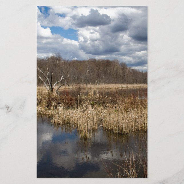 Paysage de zones humides (Devant)