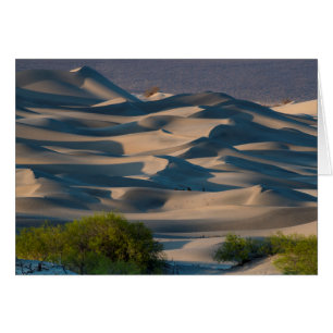 Paysage des dunes de sable, Californie