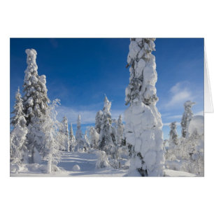 Paysage d'hiver à Lappland