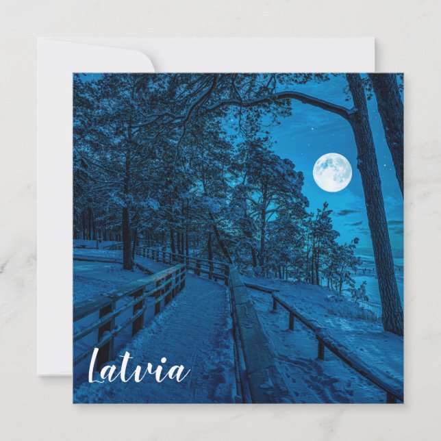 Paysage d'hiver avec pinède enneigée (Devant)