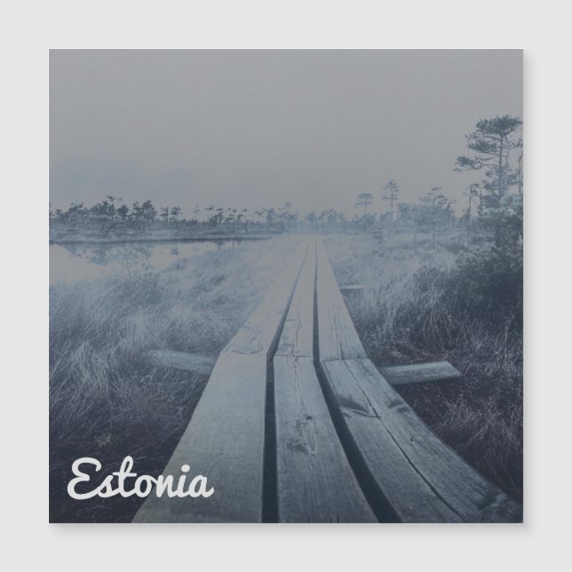 Paysage du marais (Devant)