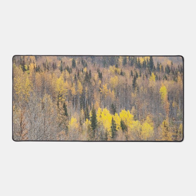 Paysage forestier automnal avec arbres dorés (Recto)