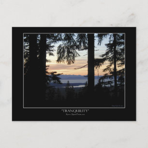 Paysage forestier Cartes postales