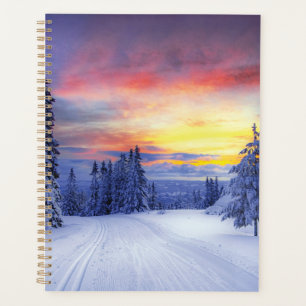 Paysage hivernal