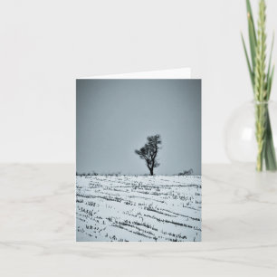 Paysage hivernal