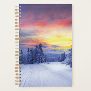 Paysage hivernal