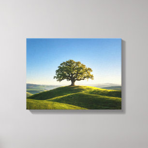 Paysage n° 6, impression sur toile de la série Pay