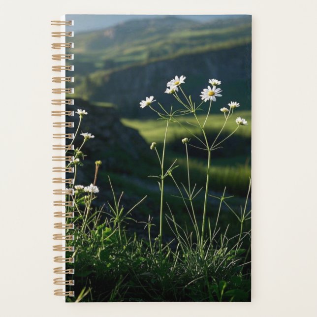 Paysage naturel de la marguerite blanche (Devant)