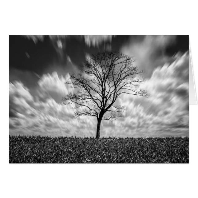 paysage noir et blanc de silhouette d'arbre (Devant Horizontal)