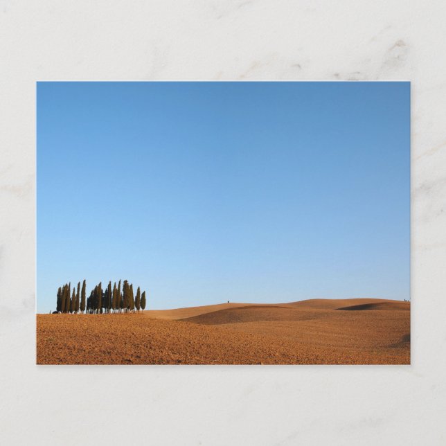 Paysage toscan avec carte postale cyprès (Devant)