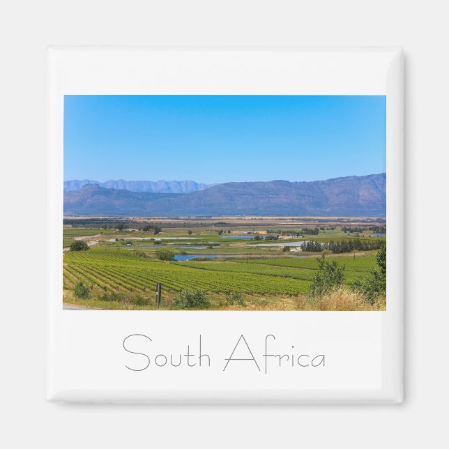 Paysage viticole Afrique du Sud SA Magnet (Devant)