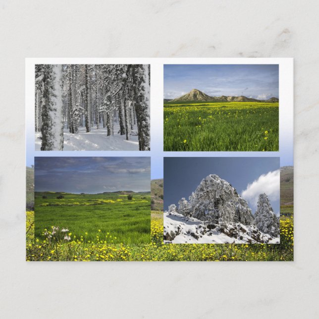 paysages de Chypre carte postale (Devant)