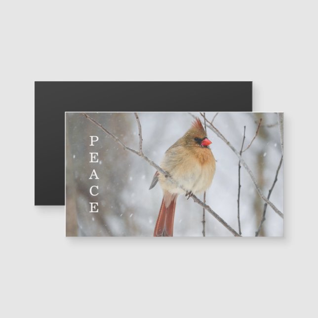 Peace Winter Cardinal Photo Magnet Card (Devant / Derrière)