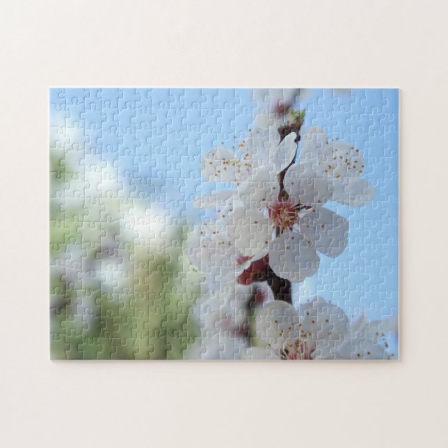 Peach flowers Puzzle (Horizontal)