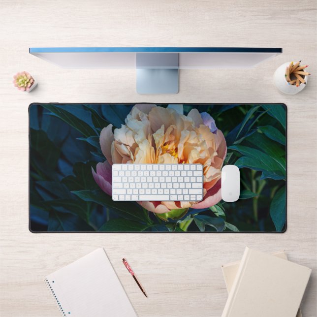 Peach Peony, Flower Photography (Bureau 1)