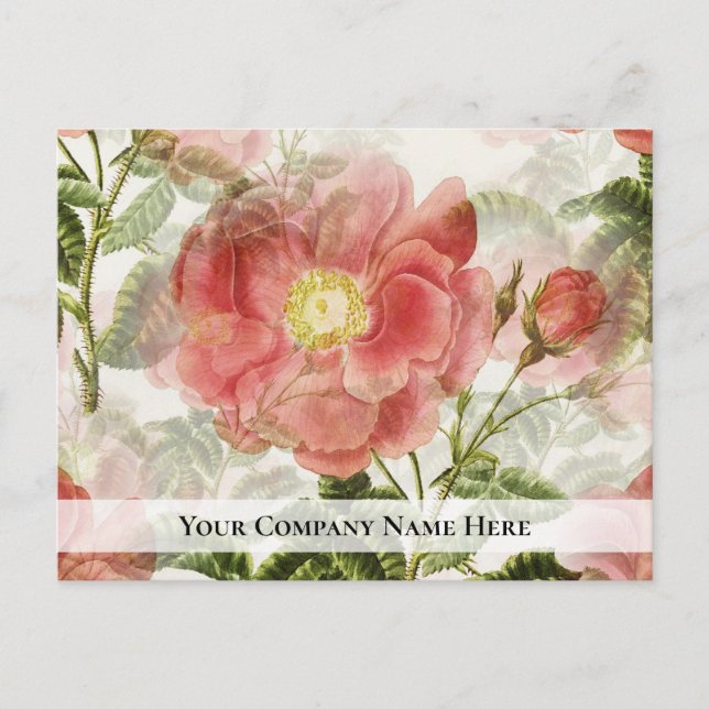Peach Rose Business Survey Feedback Carte postale (Devant)
