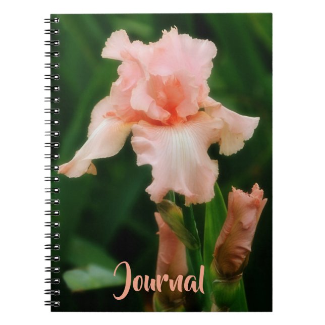 Peacht rose Iris Flower Art Journal personnel (Devant)
