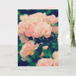 Peachy Rose Roses N'importe quelle occasion Carte