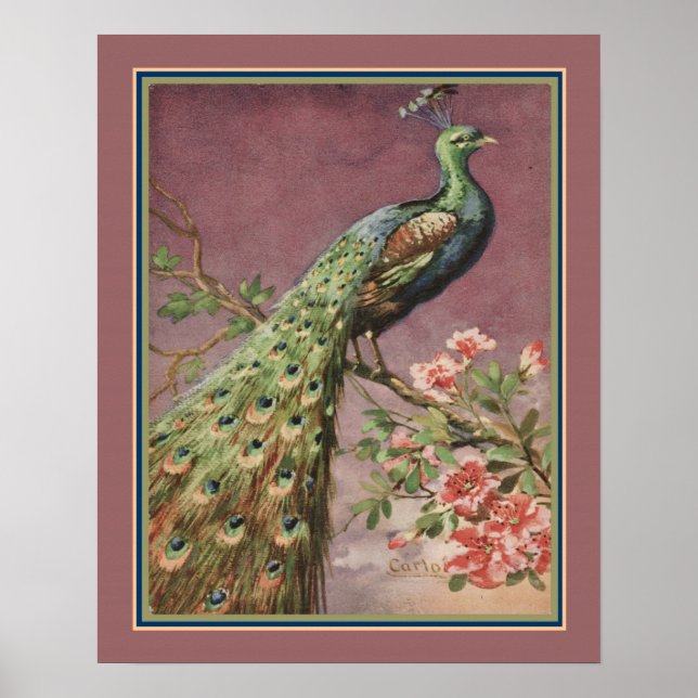 Peacock Art déco des années 1920 par Carlo Chiostr (Devant)
