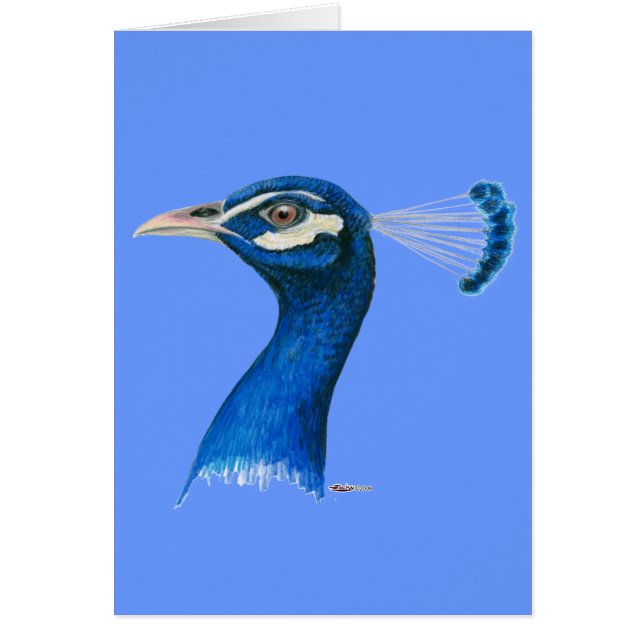 Peacock : bleu indien (Devant)